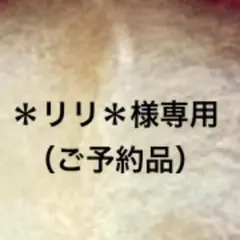 ＊リリ＊様専用（ご予約品）