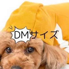 Item thumbnail for item e1606fa0-d2c6-49b2-9f16-62b5eeb94f94