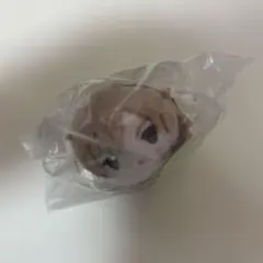 あんスタ　もちマス　もちマスミニ　羽風薫