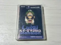 ルイージマンション テレビゲーム