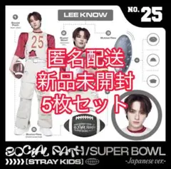 stray kids CD Social Path リノ盤 5点セット