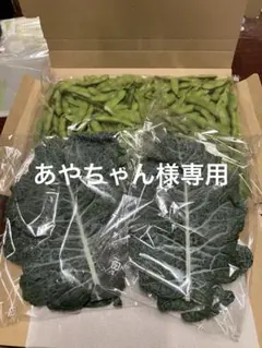 新鮮枝豆　あやちゃん様専用