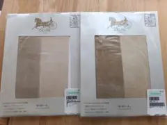 (4316)　新品　CELINE サポートストッキング 2足セット S~L