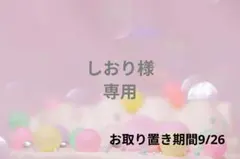 しおり様❁⃘*.゜専用ページ