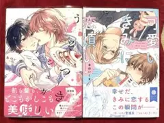 うそつきシュガーメトル　あつい　ゆ　 可愛いきみに恋煩い　茉白 いくま