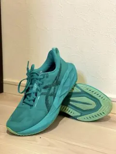 ASICS ノヴァブラスト5 27cm デポ・アルペン限定カラー