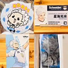 062【新品】ハイキュー 星海 ‎昼神 10周年 もちょちょ イラストカード
