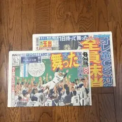 中日ドラゴンズ 2010 セ・リーグ優勝 新聞2部 中日スポーツ 日刊