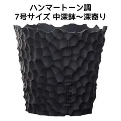 植木鉢 3Dプリンター鉢 8号 中深～深寄り 塊根 多肉 アガベ 象牙宮