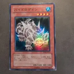 ハイドロゲドン