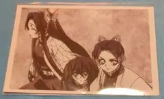 鬼滅の刃 胡蝶カナエ 胡蝶しのぶ 栗花落カナヲ 場面写ブロマイドくじ