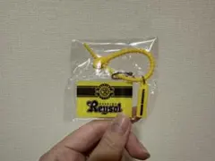 Jリーグマルチチャーム　柏レイソル