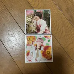 西畑大吾 ましかくフォト