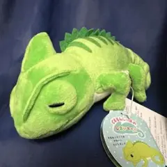 カメレオン　くるるんしっぽのレオンちゃん　STぬいぐるみ　コノハちゃん　新品