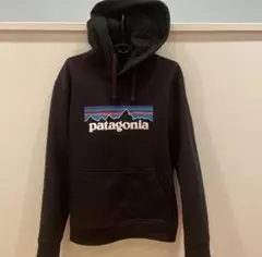 パタゴニアPatagonia　P-6ロゴ・アップライザル・フーディー S美品
