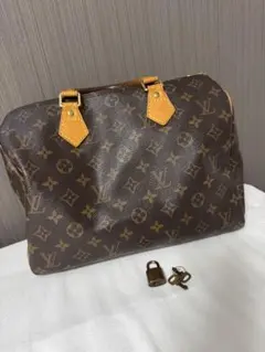 Louis Vuitton Speedy モノグラム ハンドバッグ30のサムネイル