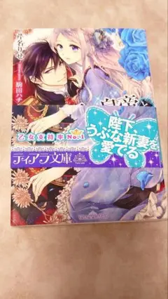 黒の皇帝と無垢な花嫁　小説