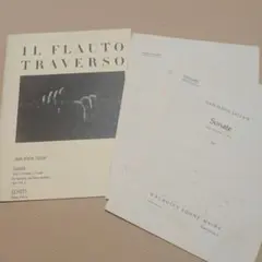 Item thumbnail for item 4ba579fc-1c59-48a6-900a-b82bed344b57