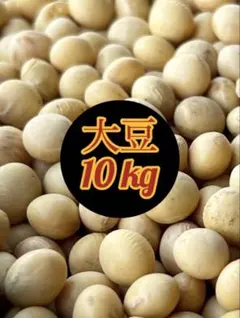 大豆 2025年産 長野県産 薬品磨き不使用 惣菜納豆豆乳加工用 訳あり