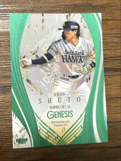 Item thumbnail for item a4832522-b06e-4546-a856-3d2249445413