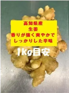 朝どれ新生姜 1Kg 高知県産 農家直送 - メルカリ