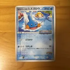 ポケパークのミズゴロウ HP60 048/PCG-P