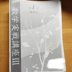 2026年最新】数学実戦講座Ⅲの人気アイテム - メルカリ