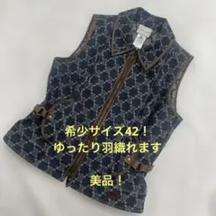 2026年最新】CELINEデニムベストの人気アイテム - メルカリ