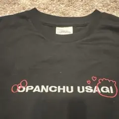 【美品】おぱんちゅうさぎ　Tシャツ　ブラック　バックプリント　サイズMP