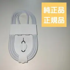新品未使用 純正 充電ケーブル Type C to C iPhone16付属品