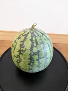 那波柚萌【なみゆも】様 リクエスト 2点 まとめ商品