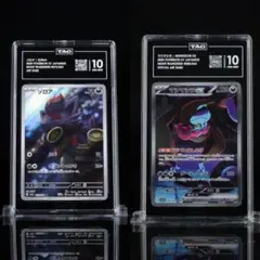 TAG10 ゾロア/マシマシラ/2枚セット