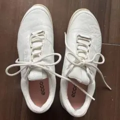 Item thumbnail for item 4a6743c1-311c-415c-9640-d245561d907c