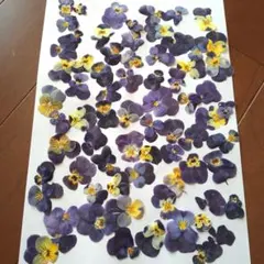 S様 リクエスト 2点 まとめ商品