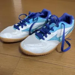 MIZUNO ミズノ 卓球シューズ 26.0cm ブルー×ホワイト