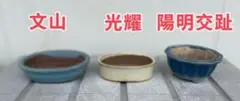 文山 光耀 陽明交趾 盆栽鉢 3個のセット売り 植木鉢
