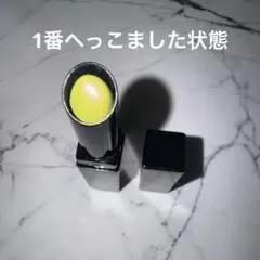 苔色 ケイト リップモンスターカラートナー EX-1 KATE