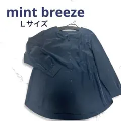 新品タグ付mint breeze ネイビー紺ピーチスキンＶネックシャツブラウスＬ