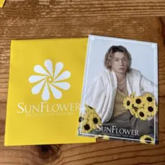 FANTASTICS LIVE TOUR 2026 SUNFLOWER フォトカ