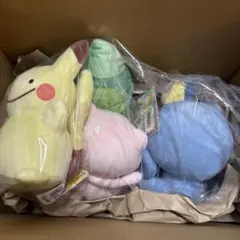 へんしん！メタモン【ゾロアセット】 - メルカリ