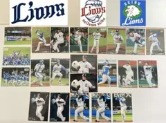 【埼玉西武ライオンズ】プロ野球チップス　2009年22枚セット