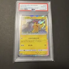 2026年最新】249/SM-P ピカチュウの人気アイテム - メルカリ