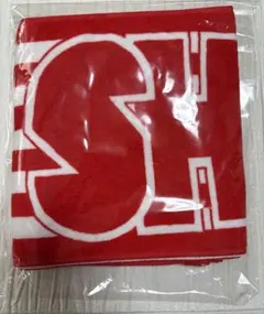 SHISHAMO タオル 2023年ライブ　ストライプタオル 未使用品