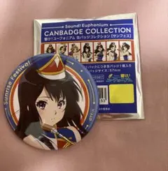 最終楽章 響け！ユーフォニアム 前編 ラベル缶 高坂麗奈 - メルカリ
