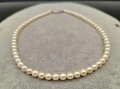 Item thumbnail for item 569a1b55-ee27-42a4-9f38-8a3ecdf1477a