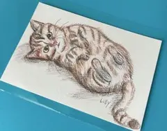 色鉛筆画(ハガキサイズ)「…おやつ…まだかニャ？」猫・子猫♡ - メルカリ