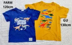 恐竜プリント Tシャツ 2枚セット 120 130
