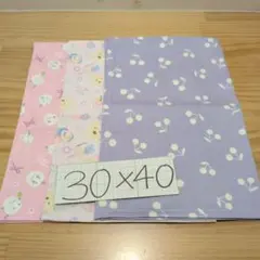 女の子柄♪ランチョンマット30×40☆１枚仕立て・3枚セット