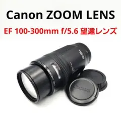 Canon ZOOM LENS EF 100-300mm f/5.6 望遠レンズのサムネイル