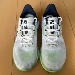 Nike ボメロ17 25cm